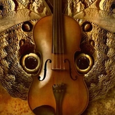 violin, butterfly