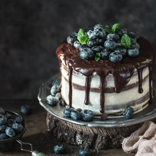 cake, blueberries