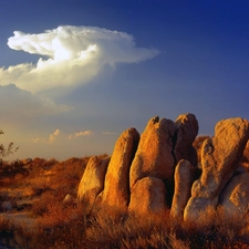 California, Desert, Mojave