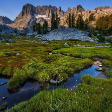 Meadow, grass, The United States, rocks, California, Sierra Nevada, Mountains, pool