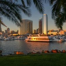 California, San Diego, Yachts, Palms, port, USA