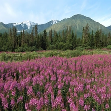 Mountains, Canada