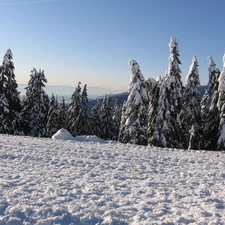 winter, Mountains, Canada, snow