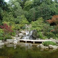 Garden, Pond - car