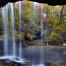 cave, forest, waterfall