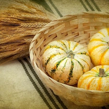 basket, Ears, cereals, pumpkin