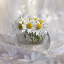 Corn Chamomile, tablecloth, Flowers, vase