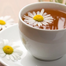 chamomile, cup, tea