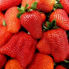robust, Strawberries cherries