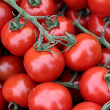 tomatoes, cherry