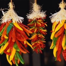 dried, Chilies