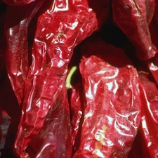 Chili, The dried, Chilies