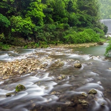 forest, River, China, waterfall