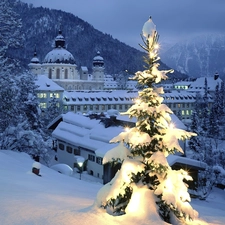 winter, illuminated, christmas tree, Town