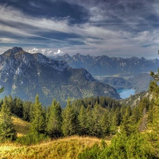 Alps, forest, clouds, lake