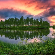 birch, trees, Great Sunsets, viewes, River, VEGETATION, clouds