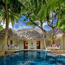 Home, Palms, clouds, Pool