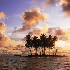 clouds, Palms, Island
