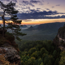 pine, clouds, Mountains, rocks, Sunrise