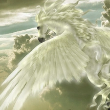 Pegasus, clouds