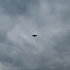 clouds, Sky, plane