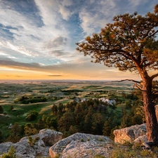 trees, pine, Sunrise, rocks, The Hills, viewes, clouds