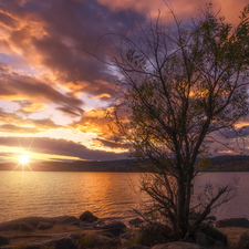 clouds, Lake Tyrifjorden, Buskerud District, Norway, trees, Great Sunsets