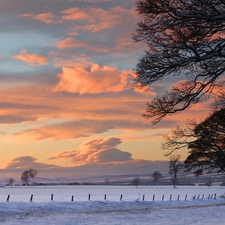 trees, field, clouds, winter, viewes, Mountains