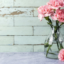 Vase, Colourfull Flowers, cloves