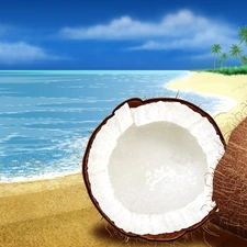 Coconut, Beaches, water