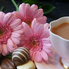 coffee, Chocolates, gerberas, cup, Pink