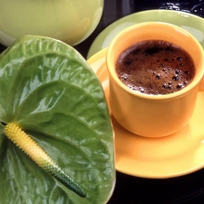 Anturium, cup, coffee, green ones