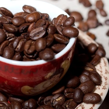 saucer, grains, coffee, cup