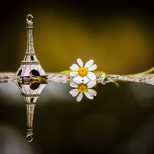 Colourfull Flowers, chamomile, tower, Eiffla, Pendant