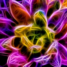 Fractalius, color, Colourfull Flowers