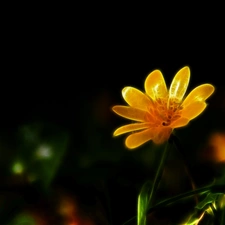 Fractalius, Yellow, Colourfull Flowers