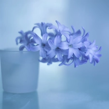 glass, vase, blue, Colourfull Flowers, hyacinth