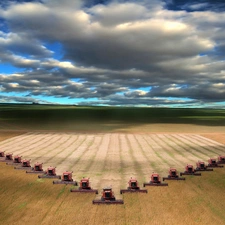 combines, Field, cereals