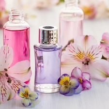 Alstroemeria, composition, Bottles, Flowers, perfume