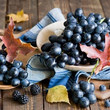 grape, Leaf, composition, blackberries
