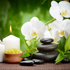 Spa, orchids, salt, composition, Flowers, Stones, Candles