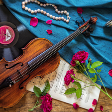 CD, composition, Tunes, roses, violin