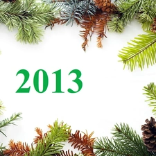 2013, New, conifer, cones, Twigs, year
