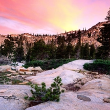 Conifers, rocks, Mountains, green ones, peaks