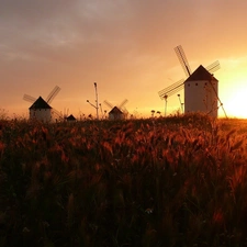 rays, Windmills, corn, sun