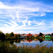 country, lake, rushes