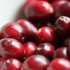 cranberry