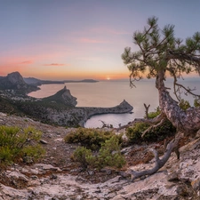 Sunrise, Black Sea, pine, rocks, Coast, trees, Crimea