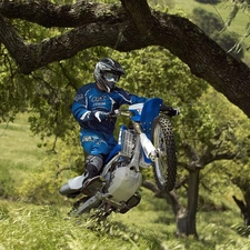 Cross, Motorcyclist, viewes, grass, trees