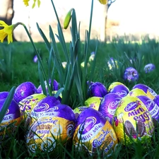 Easter, eggs, Daffodils, chocolate